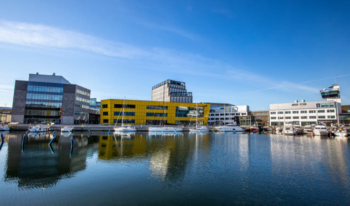 En bild över Linnéuniversitetets campus i Kalmar